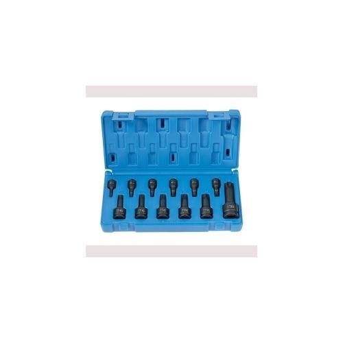 12PC TAMPERPROOF TORX