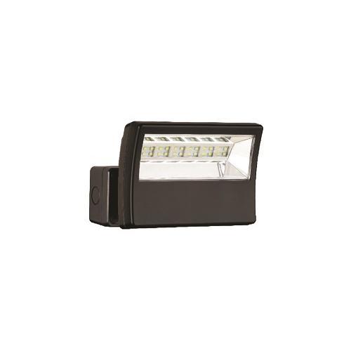 LED Floodlight